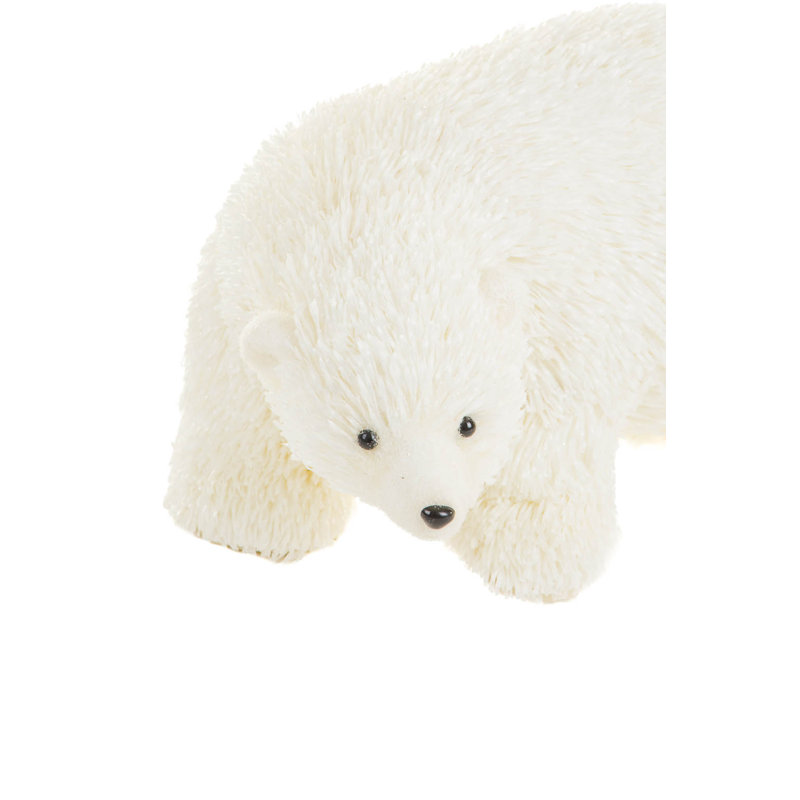 Ours polaire blanc curieux