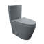 Toilette moderne une pièce à cuve allongée à double chasse 1,1 / 1,6 GPF en gris anthracite Reno (siège inclus)-97648760