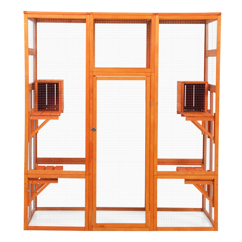 5 perchoirs, 2 condos pour chat en orange dynamique - Porte verrouillable pour garder les animaux de compagnie actifs grand abri énergique