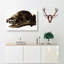 Raccoon - Wrapped Canvas-55341552