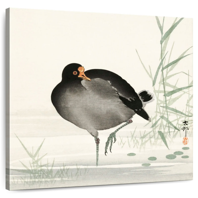 Brampt Moorhen, 20" H x 20" W