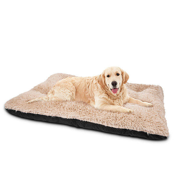 https://assets.wfcdn.com/im/88787718/resize-h600-w600%5Ecompr-r85/2554/255407754/Large+Dog+Bed+Crate+Pad%2C+Ultra+Soft+Calming+Dog+Crate+Bed+Washable+Anti-Slip+Kennel+Crate+Mat+For+Extra+Large+Medium+Small+Dogs%2C+Dog+Mats+For+Sleeping+And+Anti+Anxiety%2C+Beige.jpg