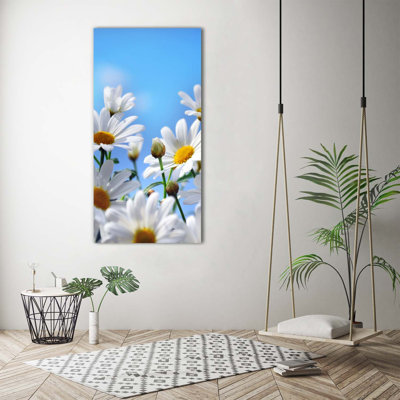 Daisies - Wrapped Canvas Print