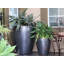 Catalina Pots By -415856418