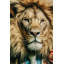 Mister Lion Print on Glass