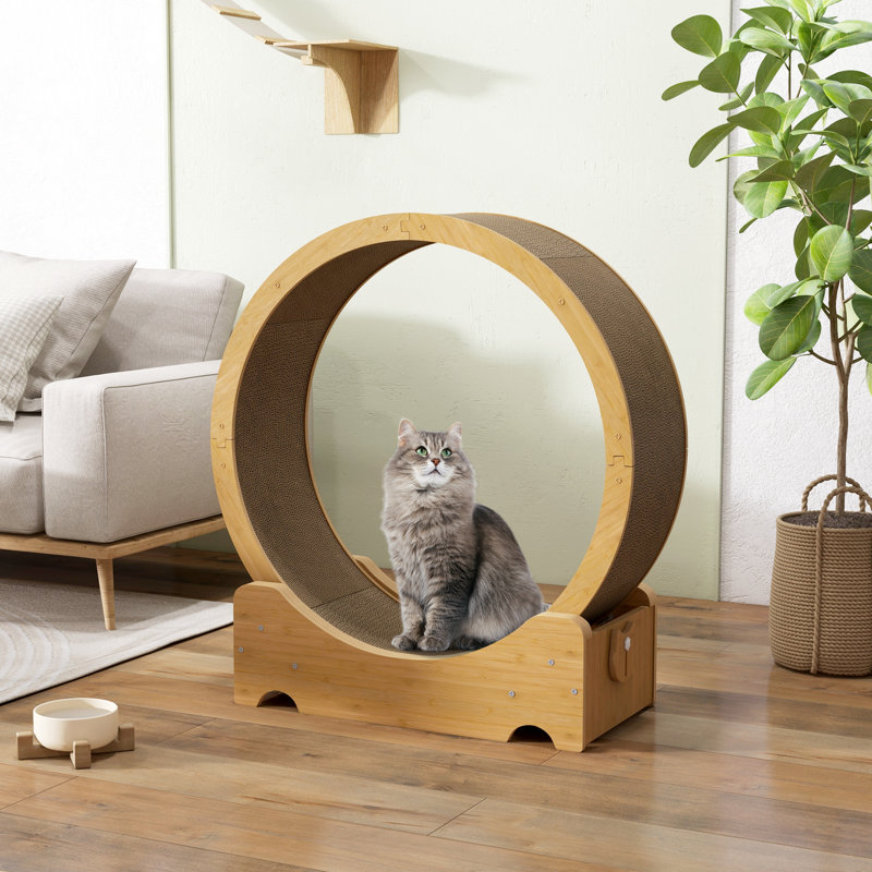Cat Exercise Wheel for Indoor Cats, Cardboard Cat Running Wheel with Scratcher, Reversible Scratch Pad