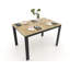 Eillen Extendable Dining Table