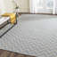 Mars Chevron Wool Hand Woven Area Rug-18525249