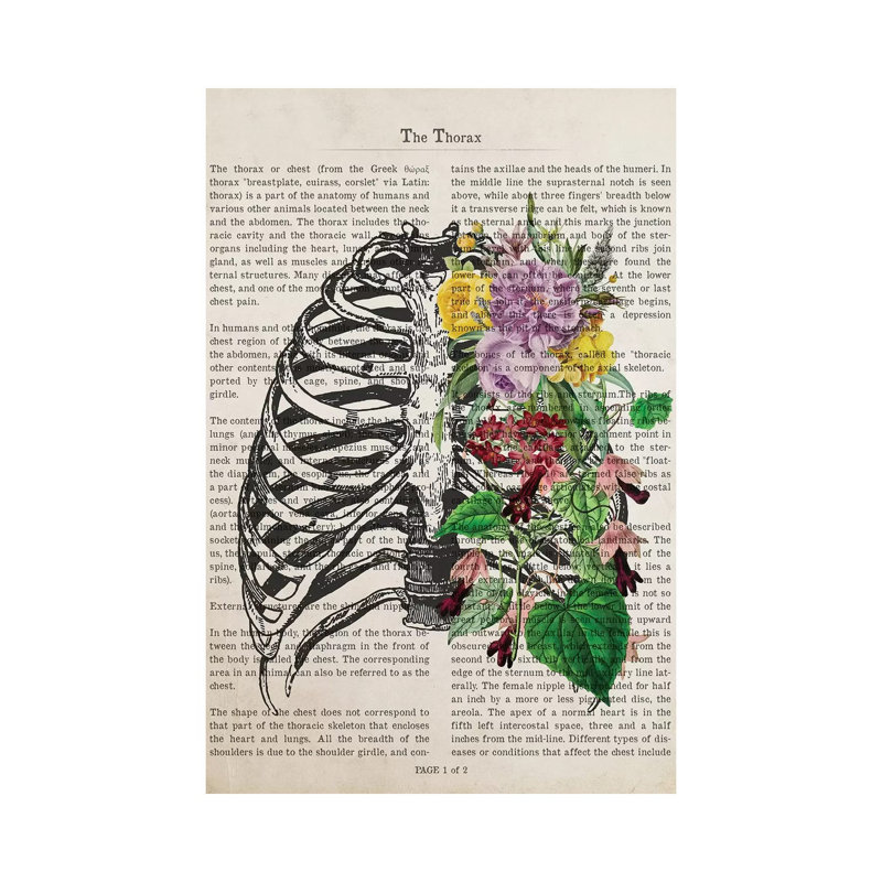 The Thorax by Aged Pixel - Wrapped Canvas Print, 20.32 cm H x 30.48 cm W x 1.91 cm D