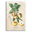 «Luscious Fruit Study D» par Jean Plout, art mural en verre acrylique-1306247901