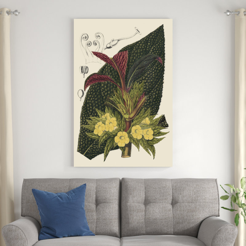 Bégonia II, H 48 po x l 32 po x P 1,25 po
