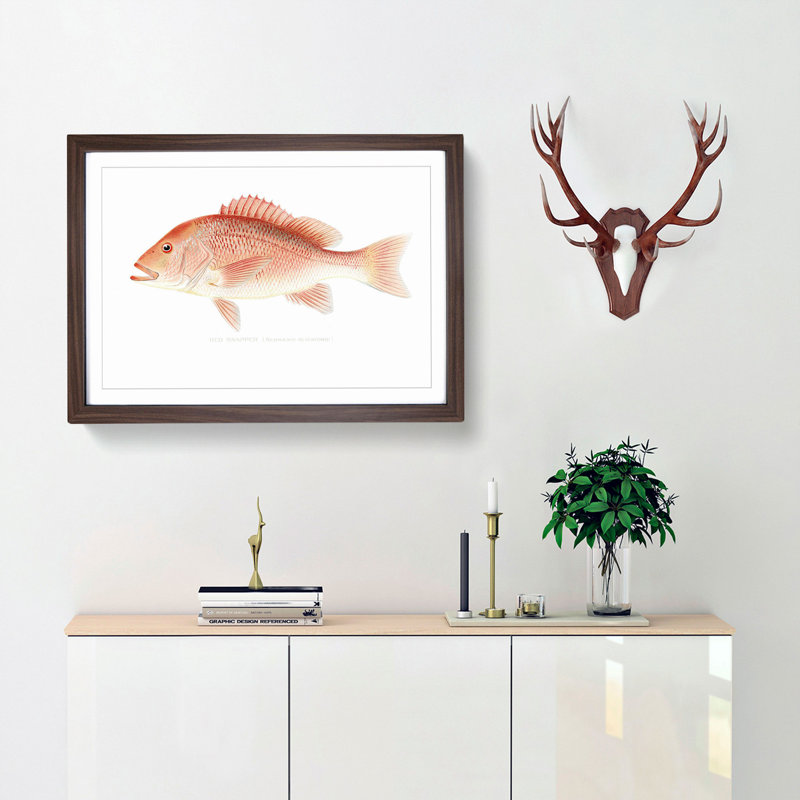 Red Snapper by Sherman F. Denton - Picture Frame Painting Print, 27cm H x 36cm W x 2cm D, Walnut Framed