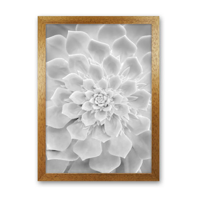 White Succulent Plant 1 Piece Wall Art