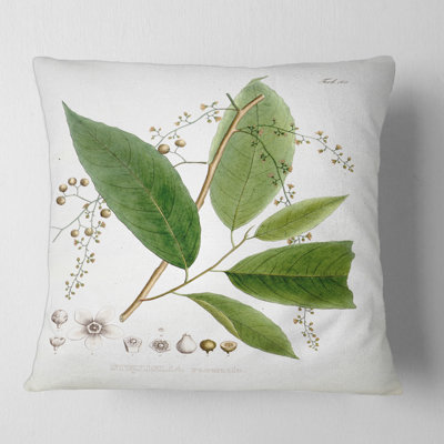 Vintage Brazilian Plant I - Traditional Printed Pillow
