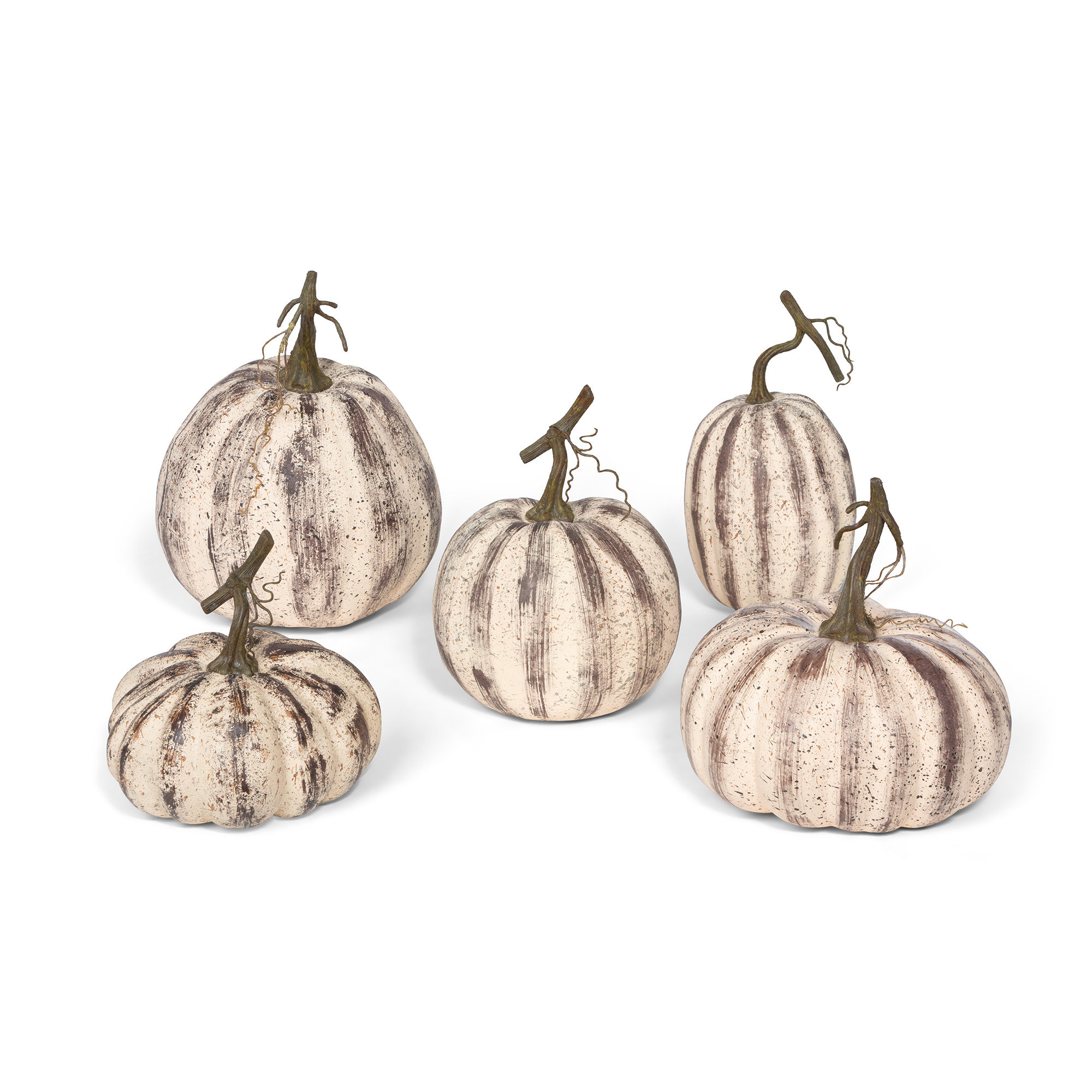Park Hill Collection Farmhouse Pumpkins, Set Of 5 & Reviews | Wayfair