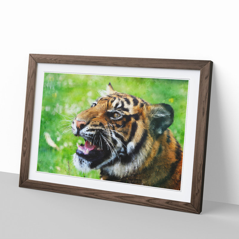 Tiger Vol.1 - Picture Frame Graphic Art, Walnut, 27cm H x 36cm W x 2cm D