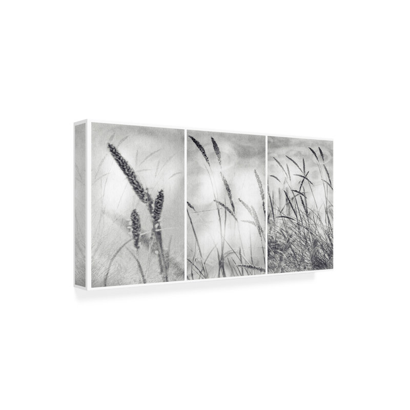Art sur toile «ologola sauvage »parologicola, H 10 po x l 19 po