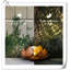 Ornement de jardin à DEL à énergie solaire 3,6 po-101796807