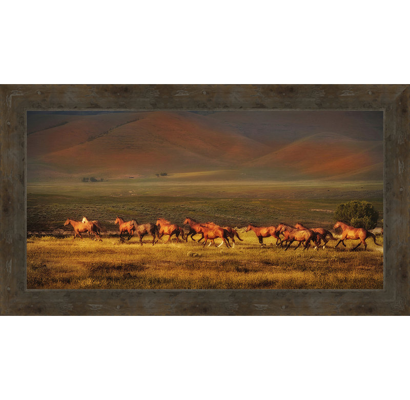 « montana dreaming », reproduction de photo sur toile encadrée