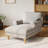 Upholstered Chaise Lounge With Adjustable Backrest