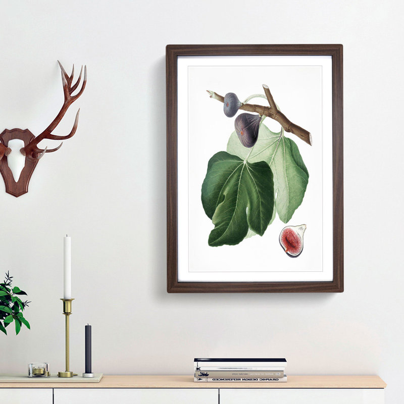Black Fig Tree by Giorgio Gallesio - Picture Frame Art Print, Walnut Framed, 65cm H x 48cm W x 2cm D