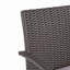 Chaise en osier Pe [ensemble de 2 pièces]-2092149205