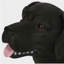 Banc d'extérieur MGO DOG Bench, noir mat + noir, aucun assemblage requis