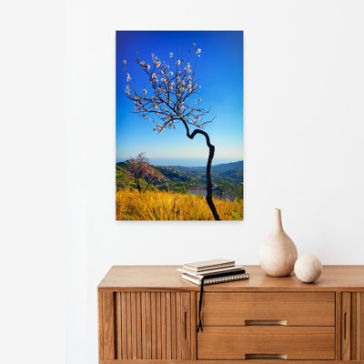 Spring Flowering Almond Tree In The Campo Or Countryside, Frigiliana, Costa Del Sol, Malaga Province, Andalucia, Spain. Abstract Contemporary Lands...