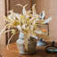 Plante eucalyptus à feuilles en soie-977680897-977680899