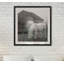 Misty Pasture - reproduction de cadre photo-1507311329