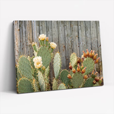 Ensemble de 1 tableau sur toile avec fleurs de cactus