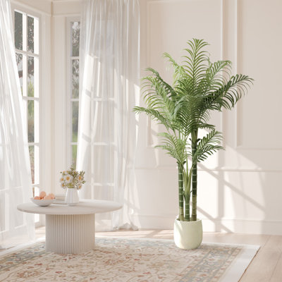 Astorga artificiel en pot blanc, plante tropicale artificielle avec écorce véritable et feuilles réalistes pour un décor intérieur et extérieur