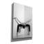 «Dance» par PhotoINC Studio-996120803
