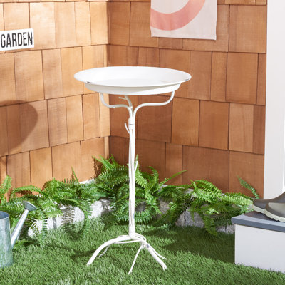 Juriana Metal Single Tier Birdbath