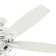 60" Dondra 5 - Blade Fan With Lights and Pull Chains