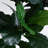 12ft. Artificial Fiddle Leaf Tree