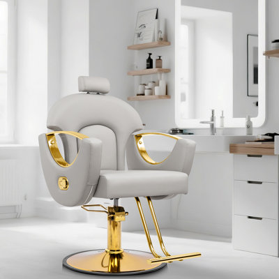 Fauteuil de coiffeur inclinable avec pivotant sur 360 ° et pompe hydraulique robuste Professional