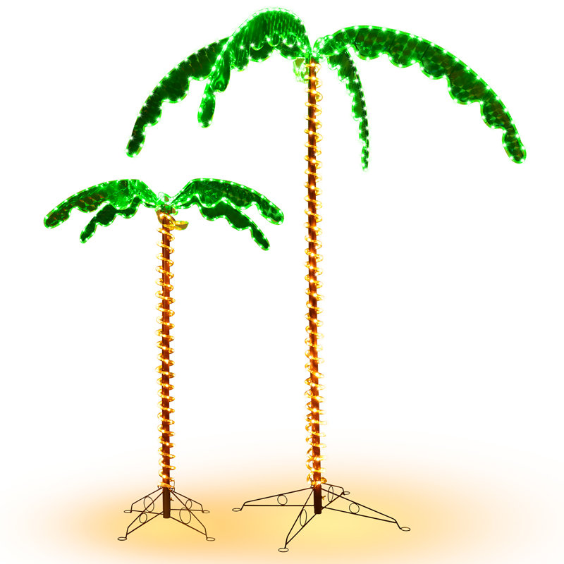 Palmiers tropicaux éclairés