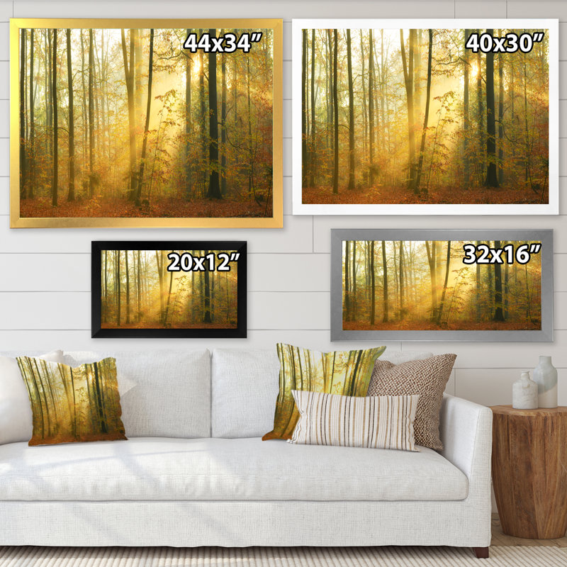 «Autumn Morning Forest», reproduction d'art sur toile traditionnelle, H 24 po x l 36 po x P 1 po, Cadre photo noir