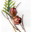 Couronne de pommes de pin 19,5 po