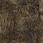 Vani Area Rug in Brown-1394310062