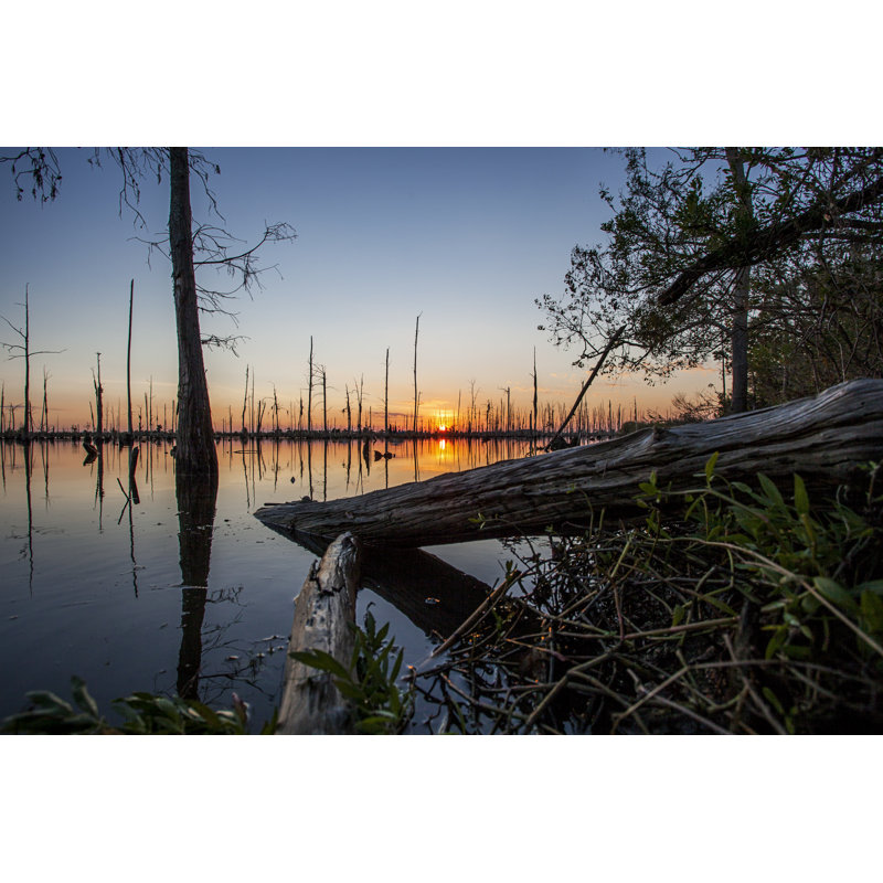Sunset In The Bayou by Tyalexanderphotography - Wrapped Canvas Print, 30cm H x 46cm W x 3.8cm D