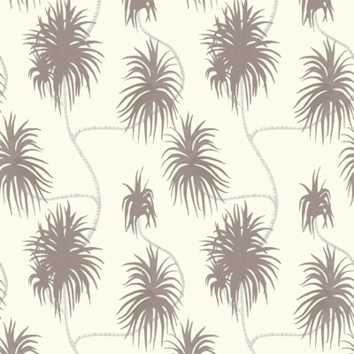 Dragon Tree - Wallpaper