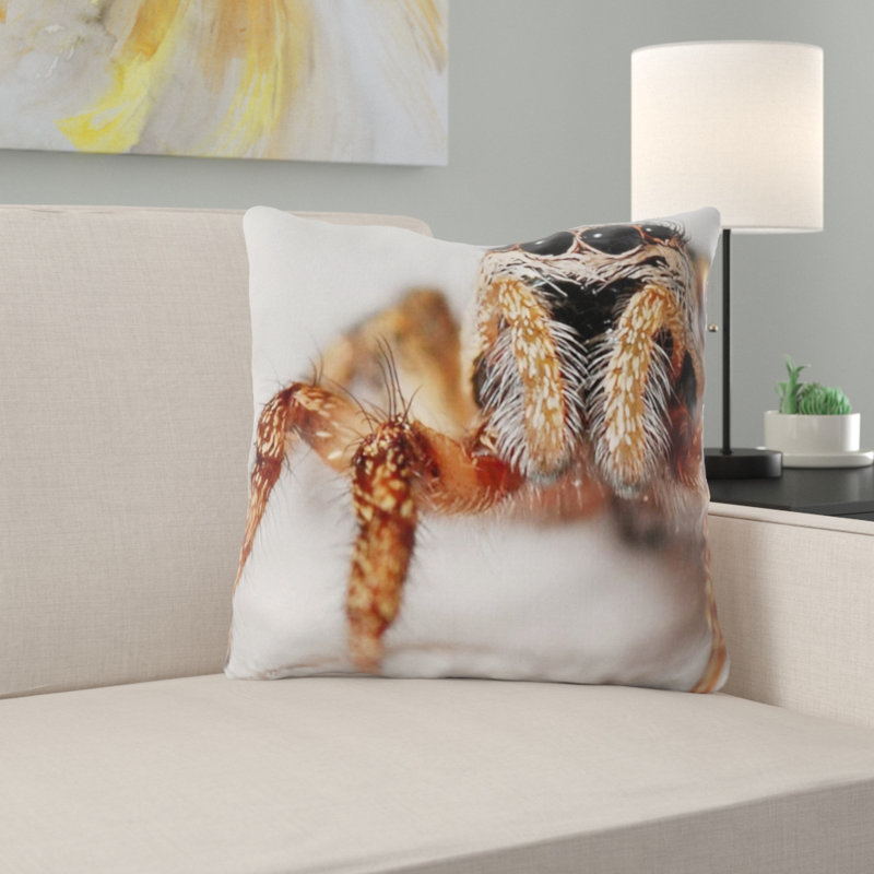 Coussin de spider