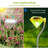 Stake 4 Light Night Light