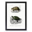 Tortoise & Turtle Illustrations PL. 1 by Charles d' Orbigny - Picture Frame Painting Print-55610913-55610911