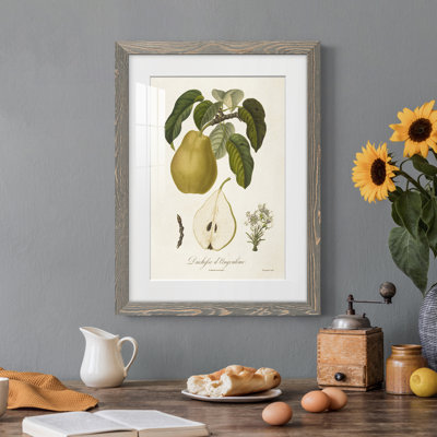 " Vintage Pears I " Painting Print