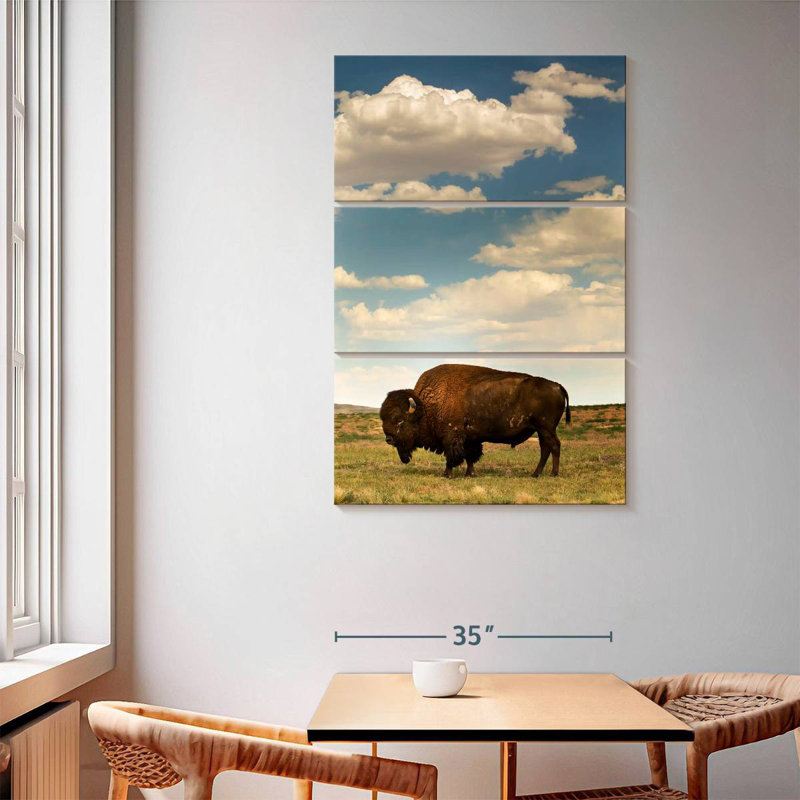 Bison des Rocheuses Brampt, H 65 po x l 42 po