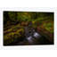 «Forest Treasures», reproduction de photo sur toile-72778592-72778593-72778594