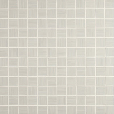 Discovery 12 in. x 12 in. Matte Porcelain Mosaic Floor and Wall Tile